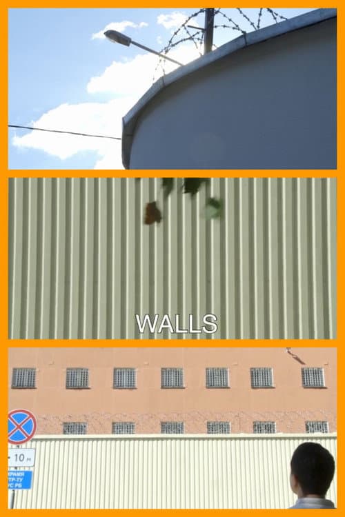 Walls (2020) poster