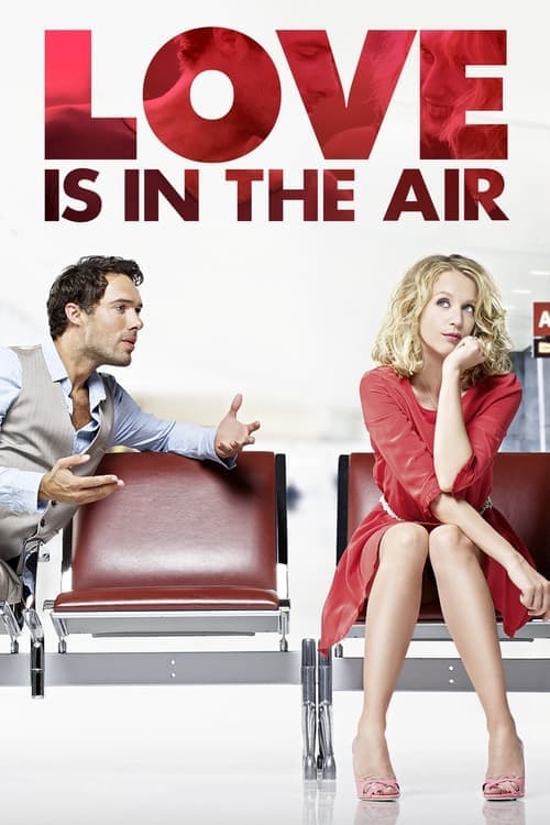 Love Is in the Air (2013) poster