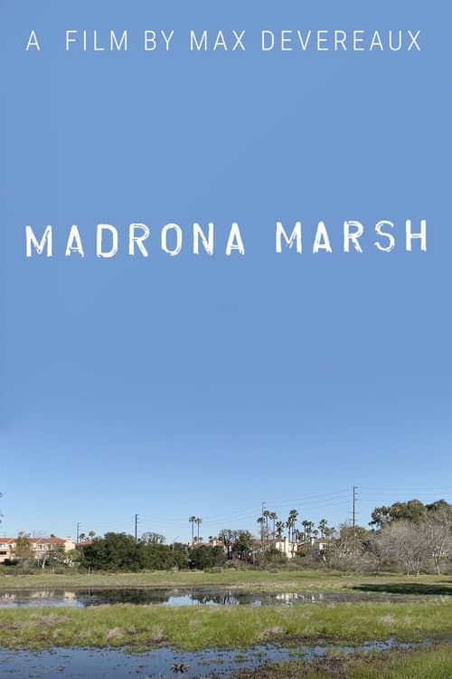 Madrona Marsh poster