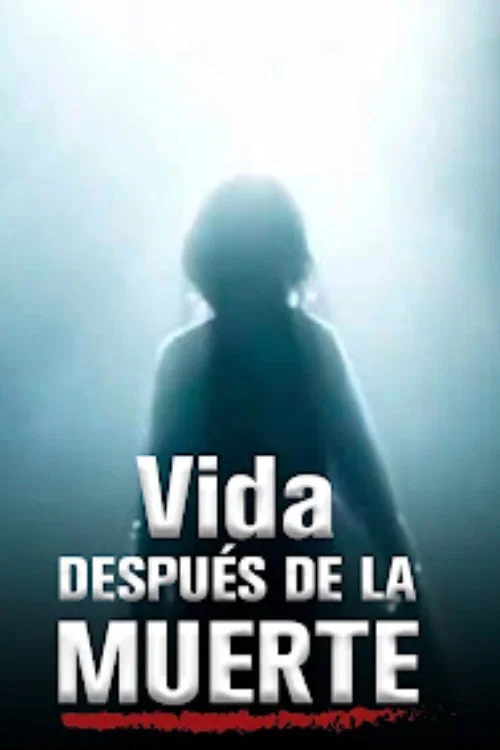 Vida después de la muerte (2007) poster