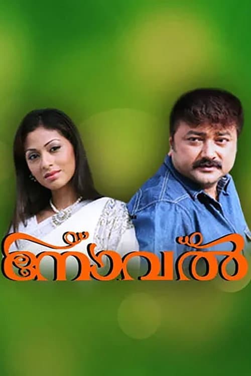 Novel (2008) poster
