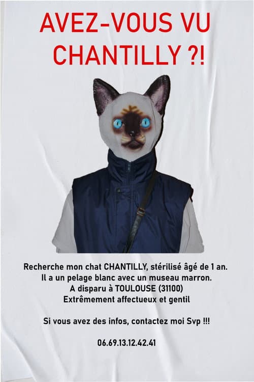 AVEZ-VOUS VU CHANTILLY ?! poster