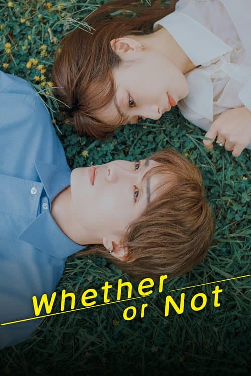 Whether or Not (2025) poster
