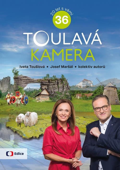 Toulavá kamera poster
