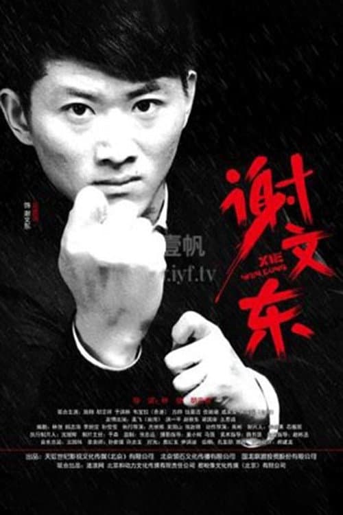 谢文东 (2014) poster