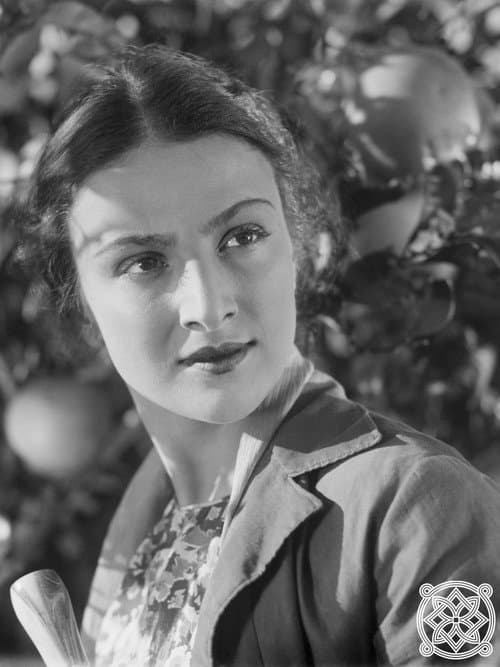 The Lights of Kolchis (1941) poster