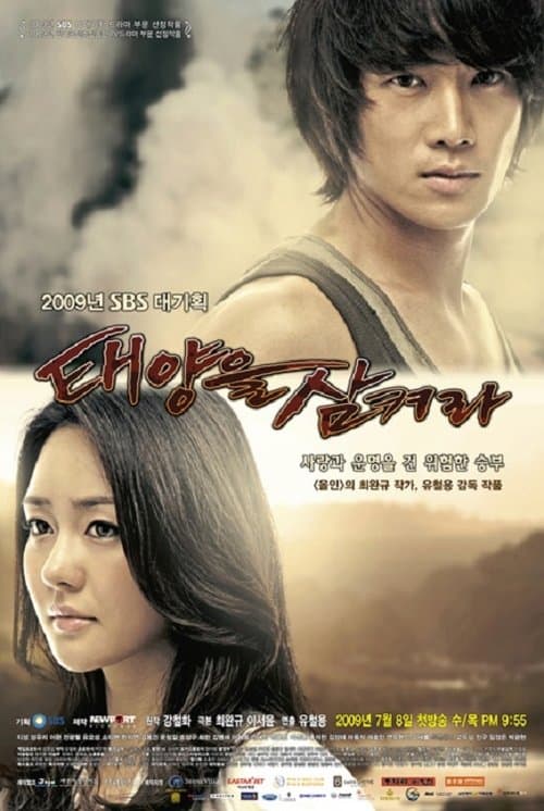 Swallow the Sun (2009) poster