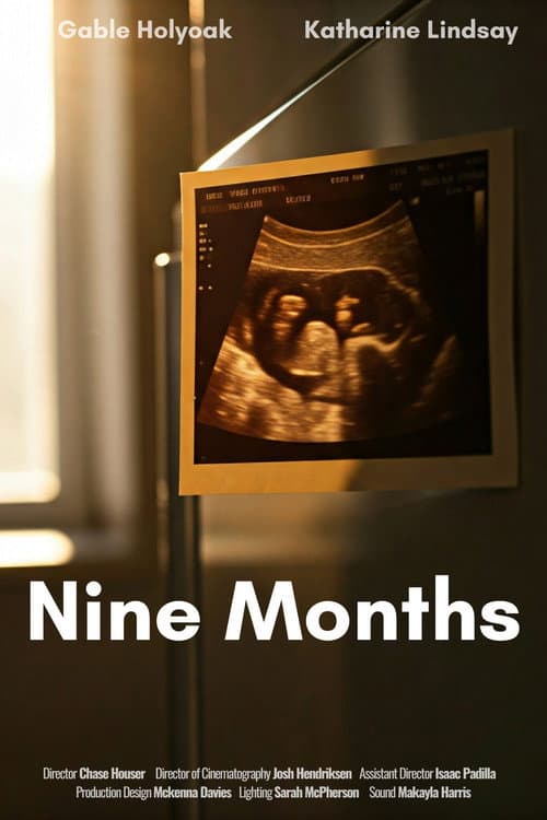 Nine Months poster