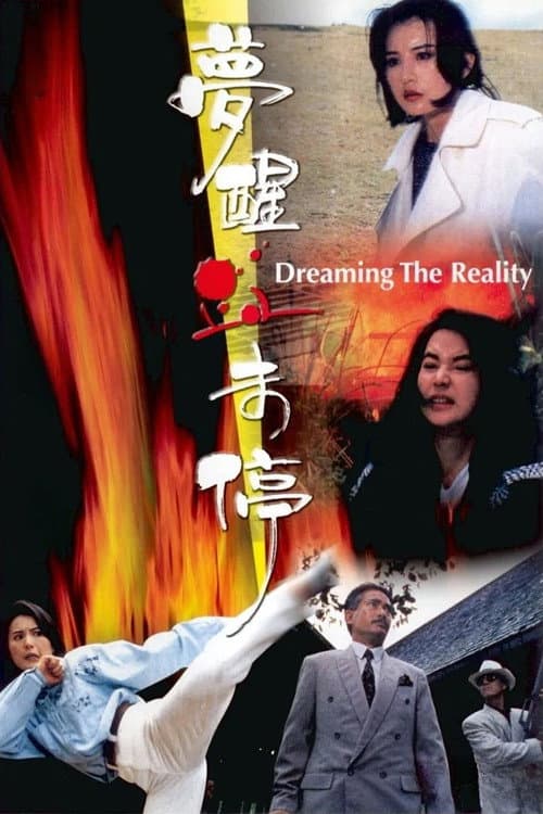Dreaming the Reality (1991) poster