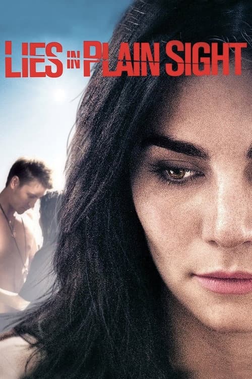 Lies in Plain Sight (2010) poster