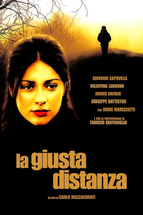 The Right Distance (2007) poster