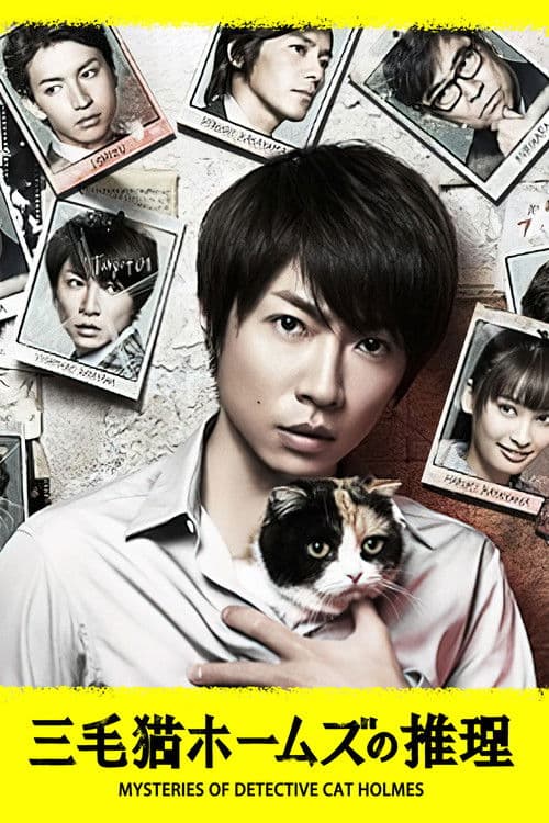 Mysteries of Detective Cat HOLMES (2012) poster