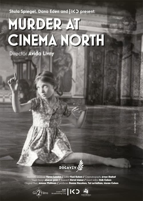 Murder At Cinema North (2020) poster