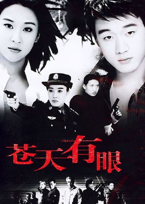 苍天有眼 (2005) poster