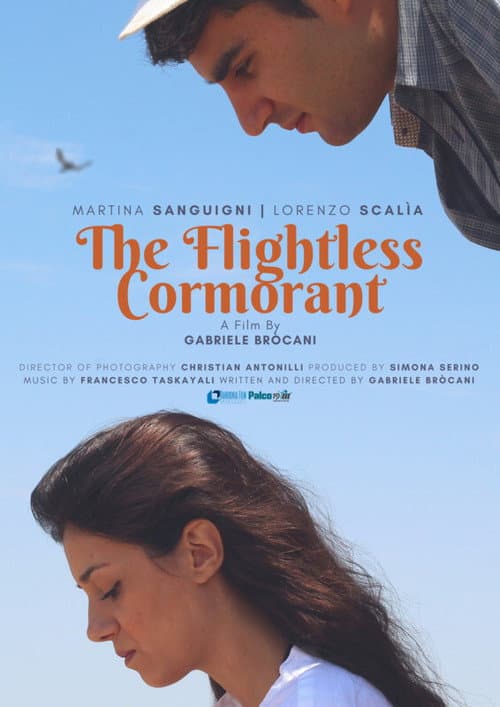 Mara dei Cormorani poster
