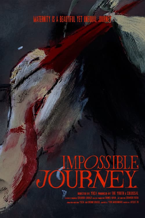 Impossible Journey poster