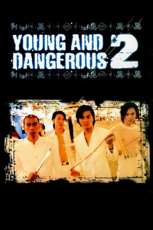 Young and Dangerous 2 (1996) poster