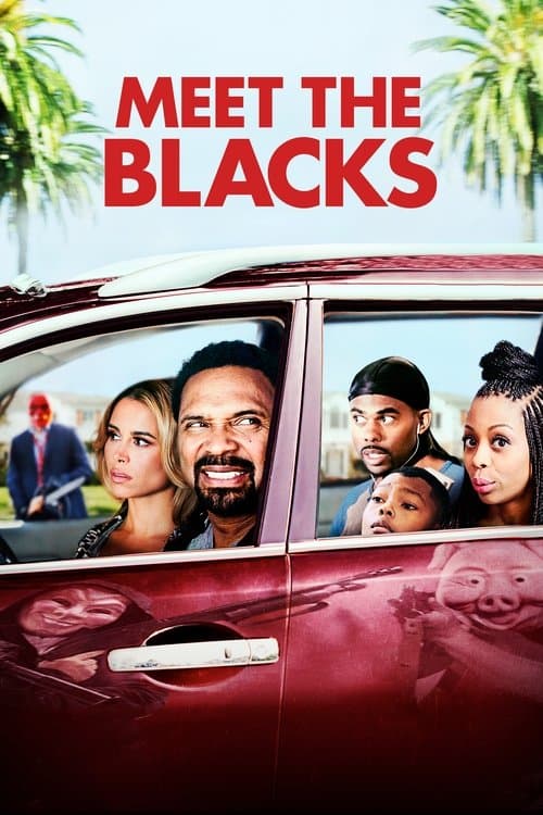 Meet the Blacks (2016) poster
