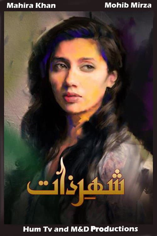 Shehr-e-Zaat (2012) poster