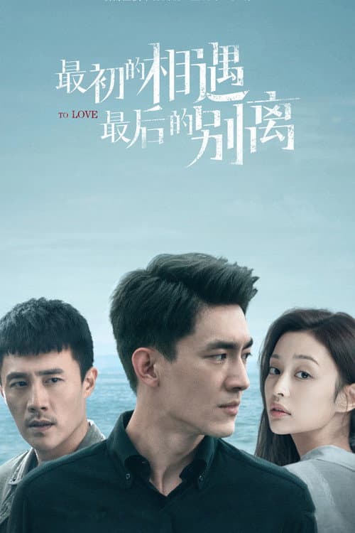 To Love (2020) poster