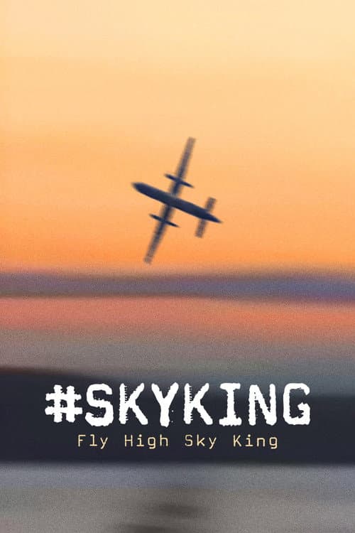 #SKYKING (2026) poster