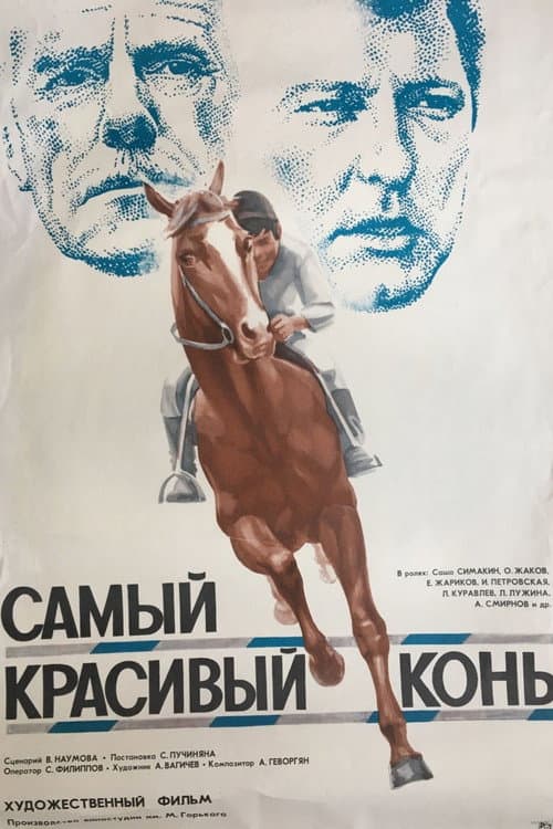 The Most Beautiful Horse (1977) poster