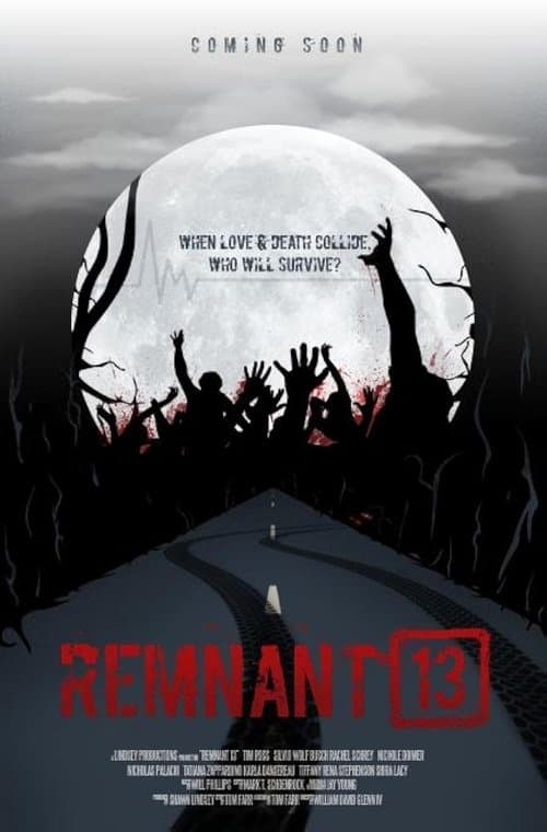 Remnant 13 (2018) poster
