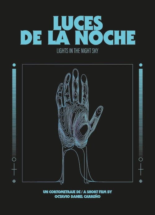 Lights In The Night Sky (2024) poster