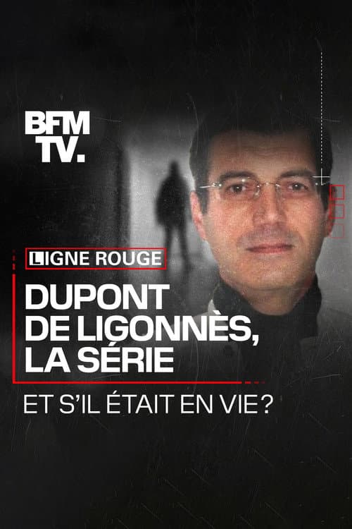 Dupont de Ligonnès, la série (2021) poster