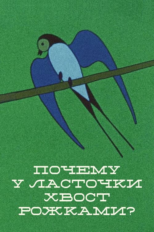 Why the Swallow's Tail Is Double? (1967) poster