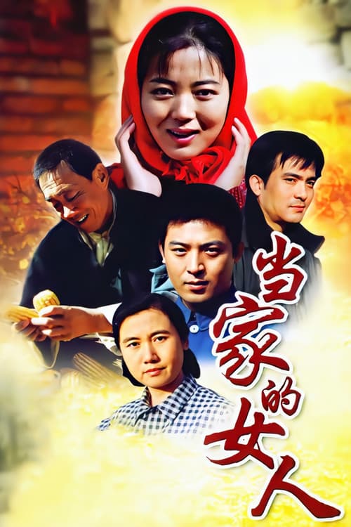 当家的女人 (2003) poster