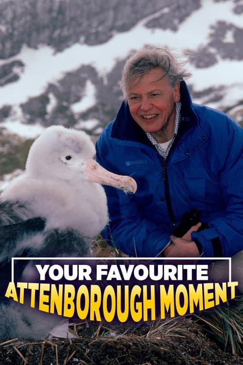 Your Favourite Attenborough Moment poster