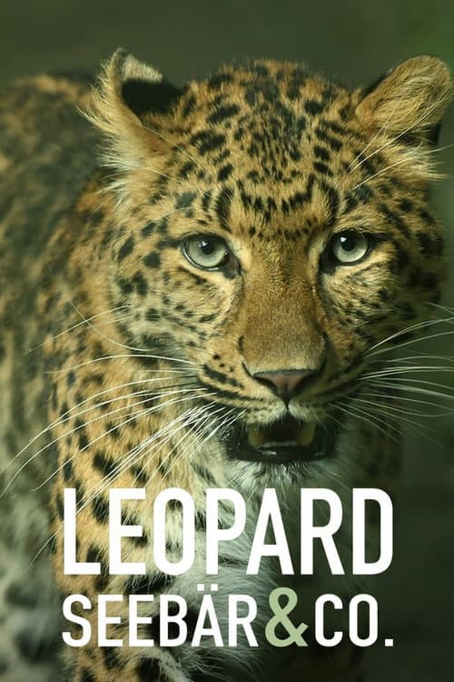 Leopard, Seebär & Co. (2007) poster