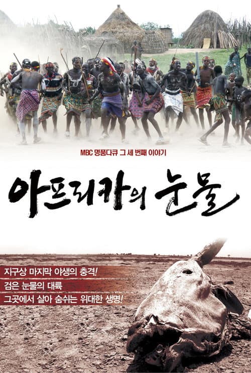 아프리카의 눈물 poster