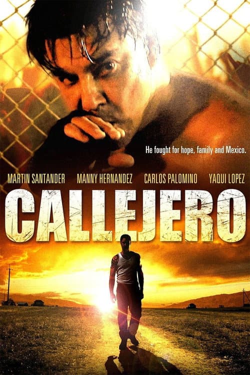 Callejero (2015) poster