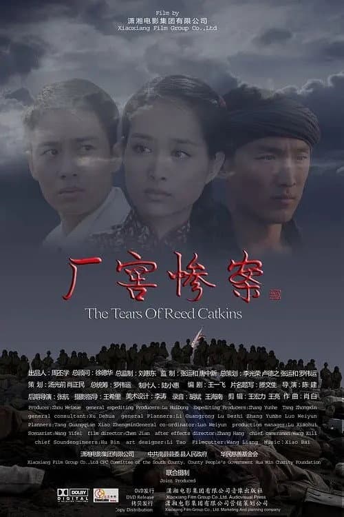 厂窖惨案 (2010) poster