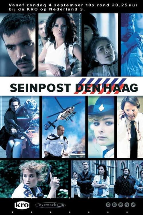 Seinpost Den Haag (2011) poster