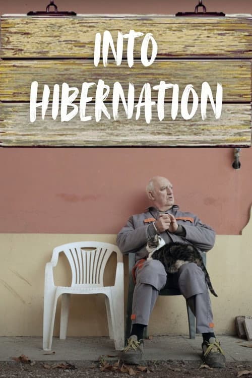 Into Hibernation poster