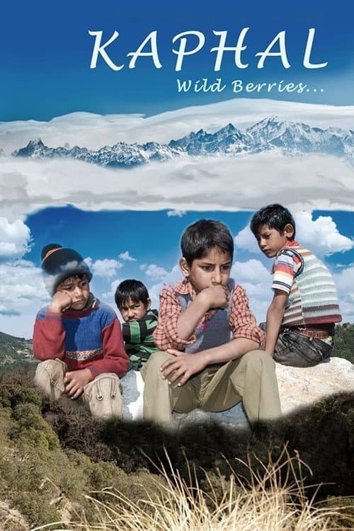 Kaphal: Wild Berries poster