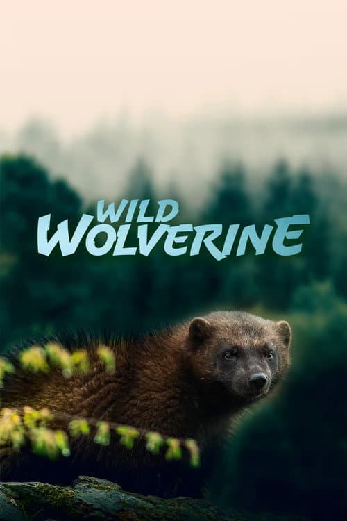 Wild Wolverine poster