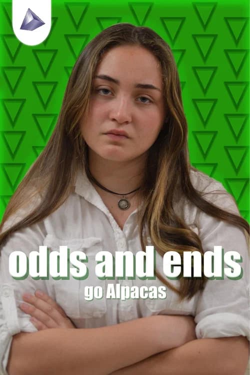 Odds & Ends poster