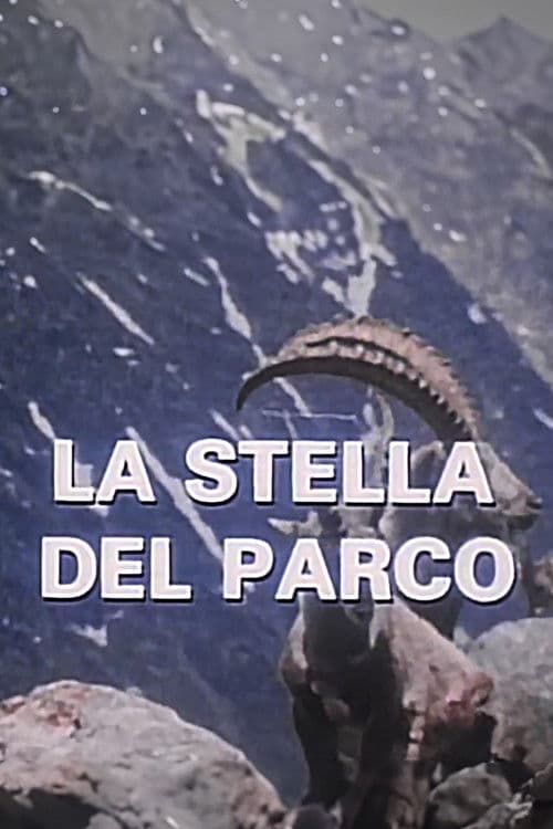La Stella Del Parco (1991) poster