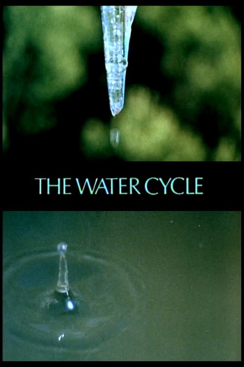 The Water Cycle poster