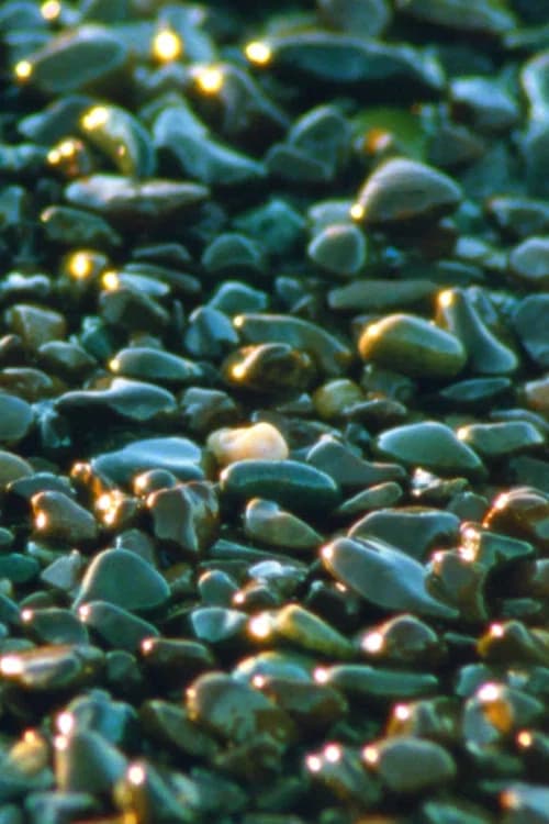 Jasper Beach and The Salt Marsh poster