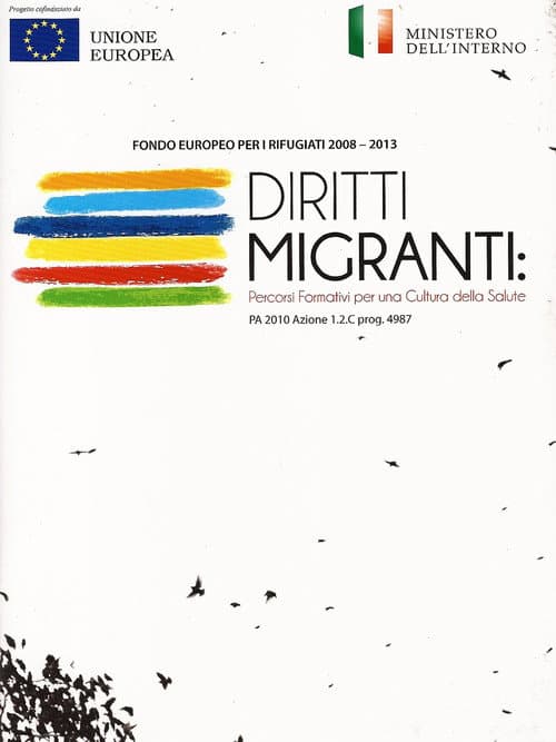 Diritti migranti (2013) poster