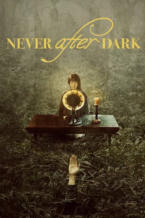 Never After Dark (2026) poster