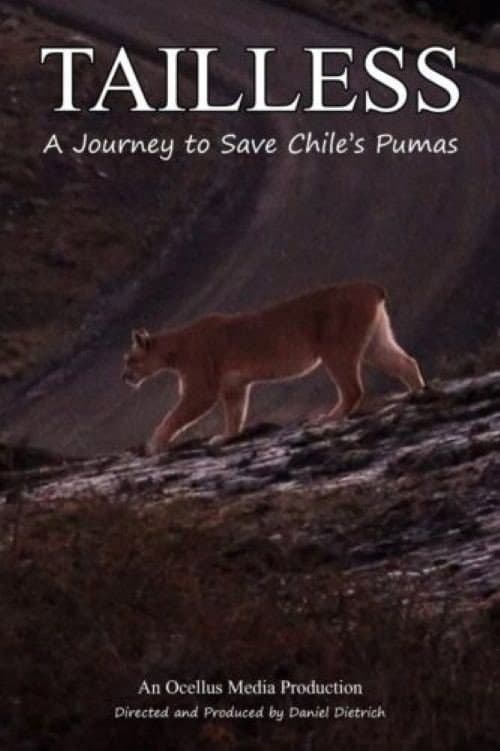 Tailless poster