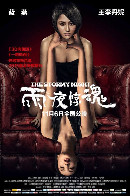 The Stormy Night (2015) poster