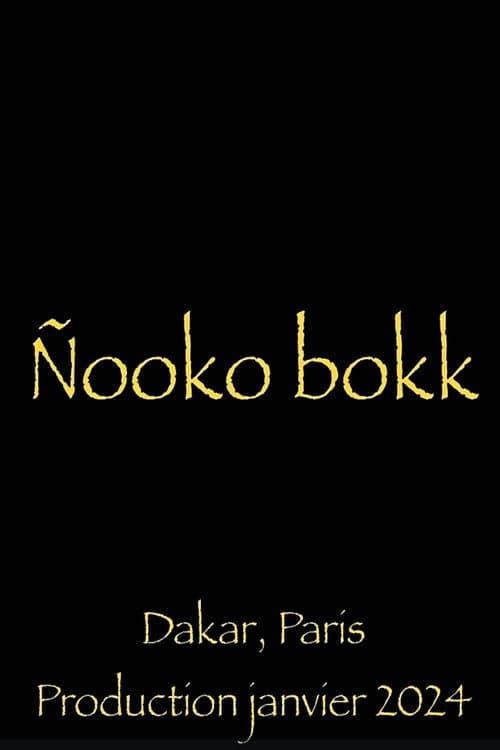 Nooko Bokk poster
