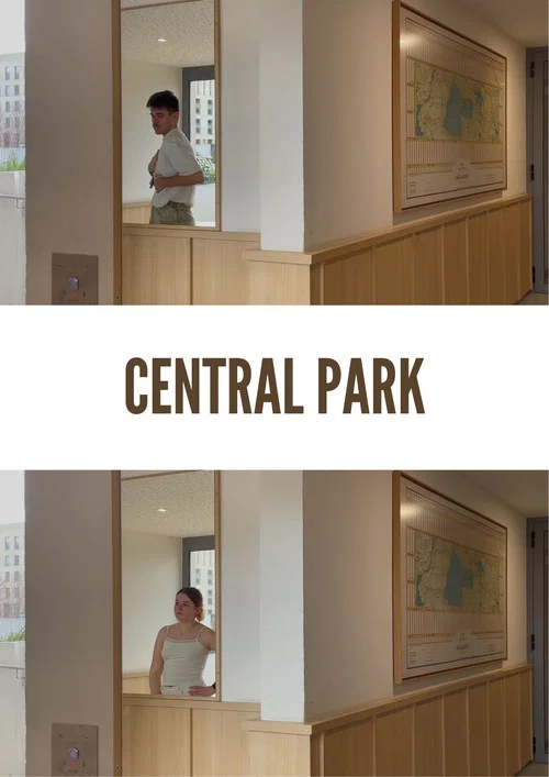 Central Park poster